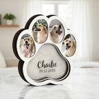 White paw-shaped memorial shadow box with example dog photos, a fur keepsake, name and date.
