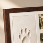 Close-up of pet paw print memorial frame and walnut finish